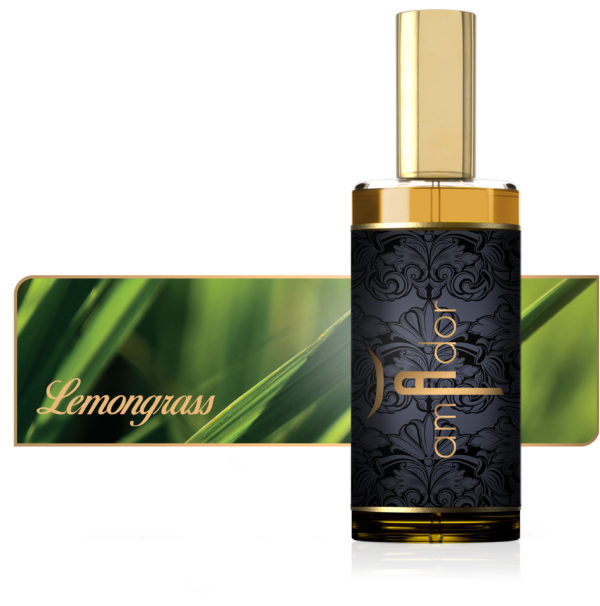 Lemongrass | Inspirierende Aromen | DOMI sense